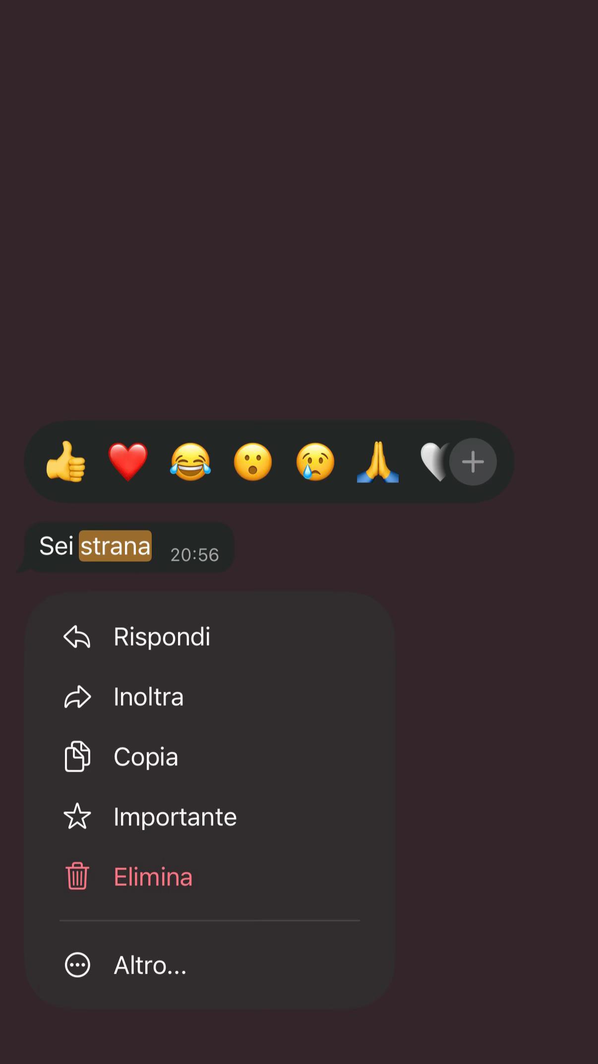 @giulietta🤍