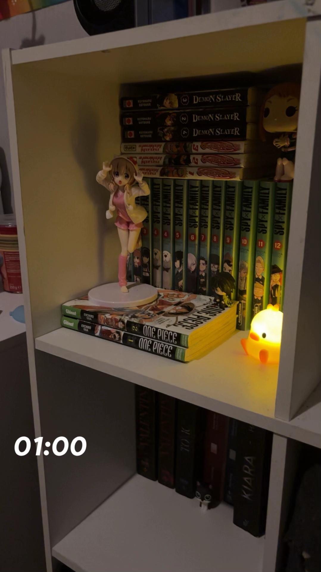 @🪸𝐍𝐄𝐖𝐓𝐎𝐍🪸