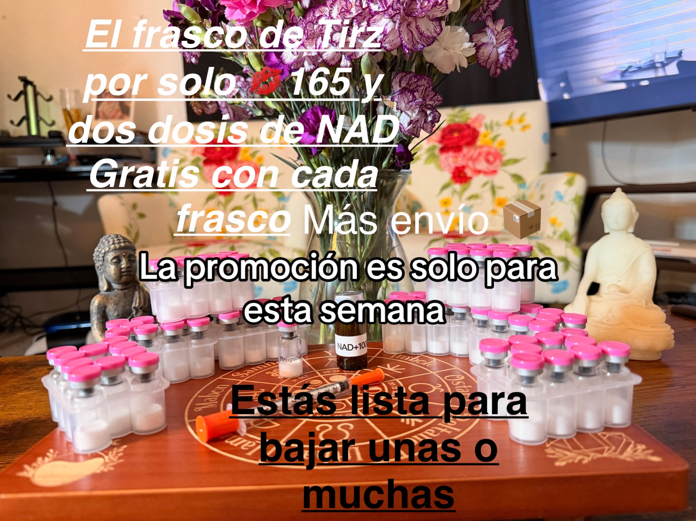 @Fabiola2588
