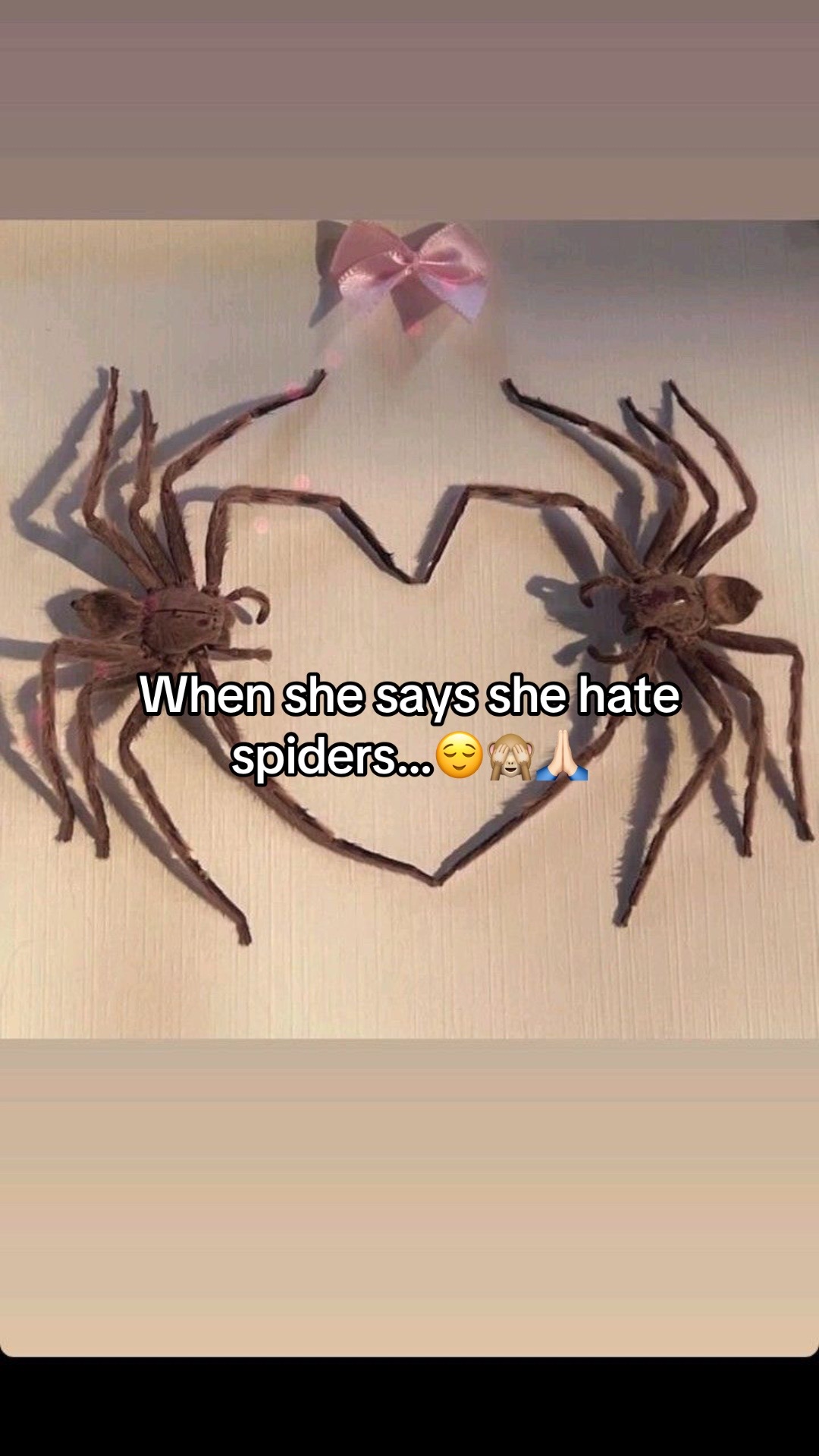 @AlielnosirrahTS