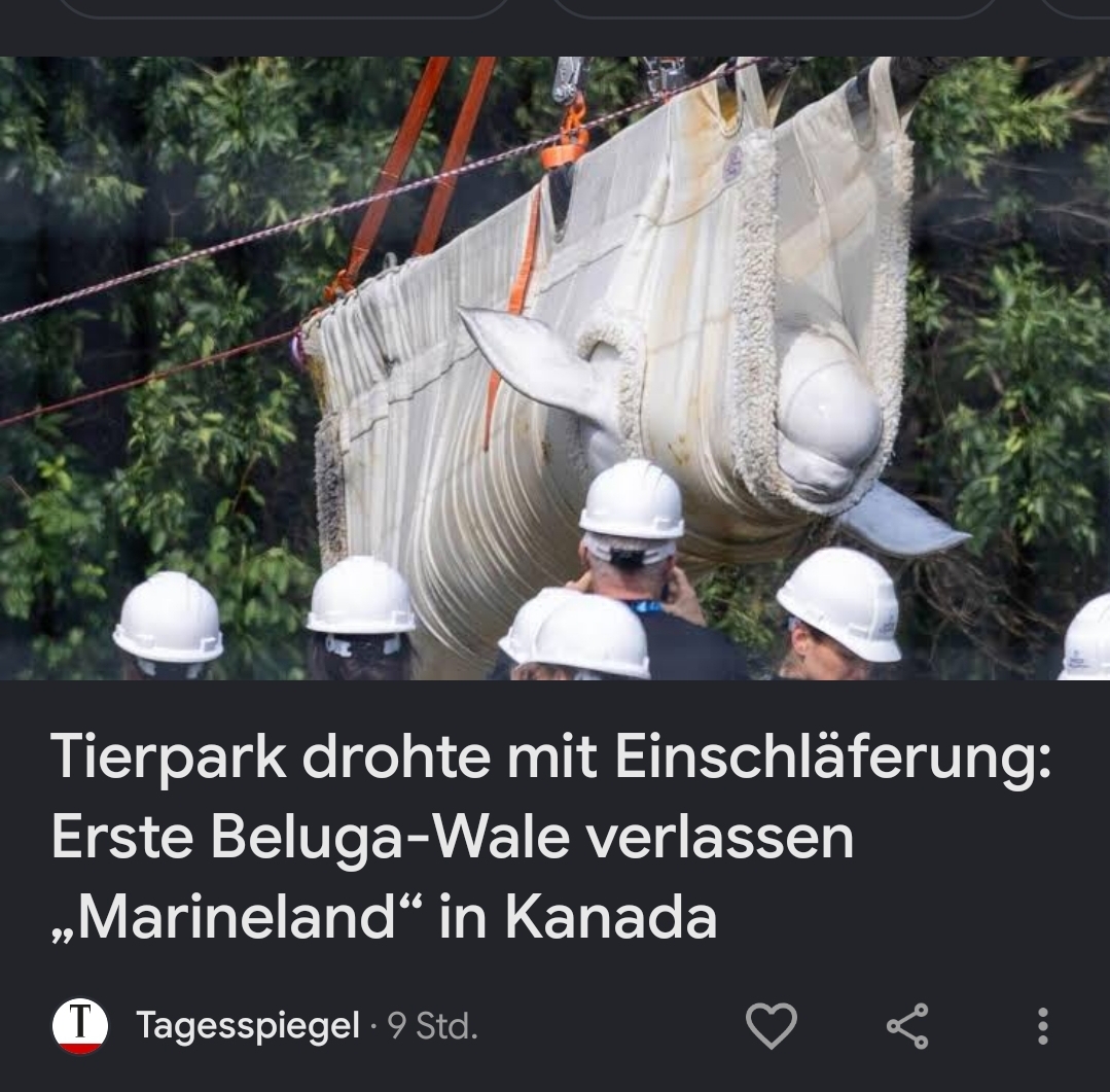 @🍁DieMiri♠️♥️Einfachtierschutz