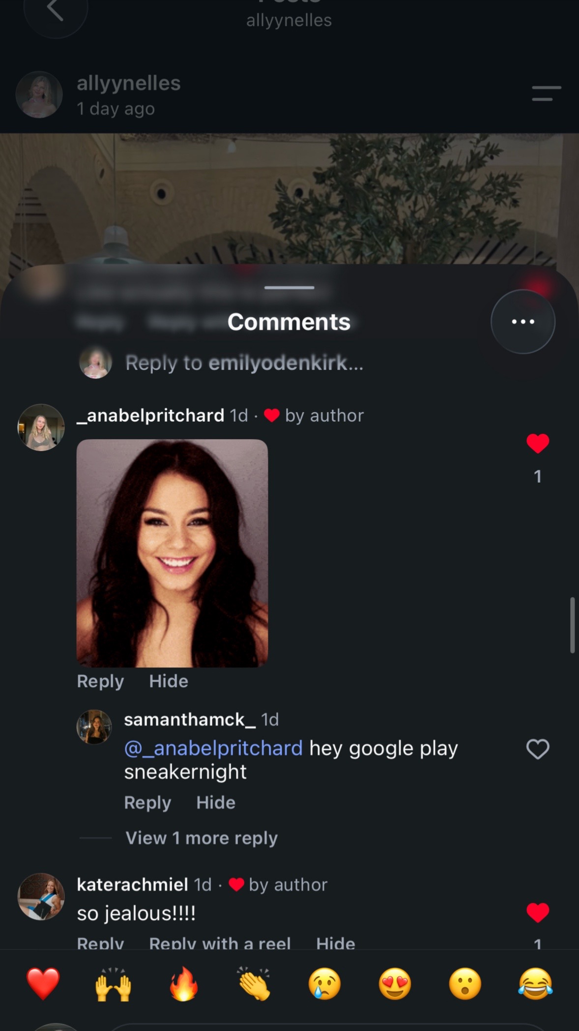 @allynelles