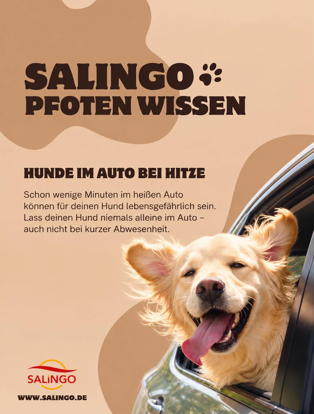 @SALiNGO