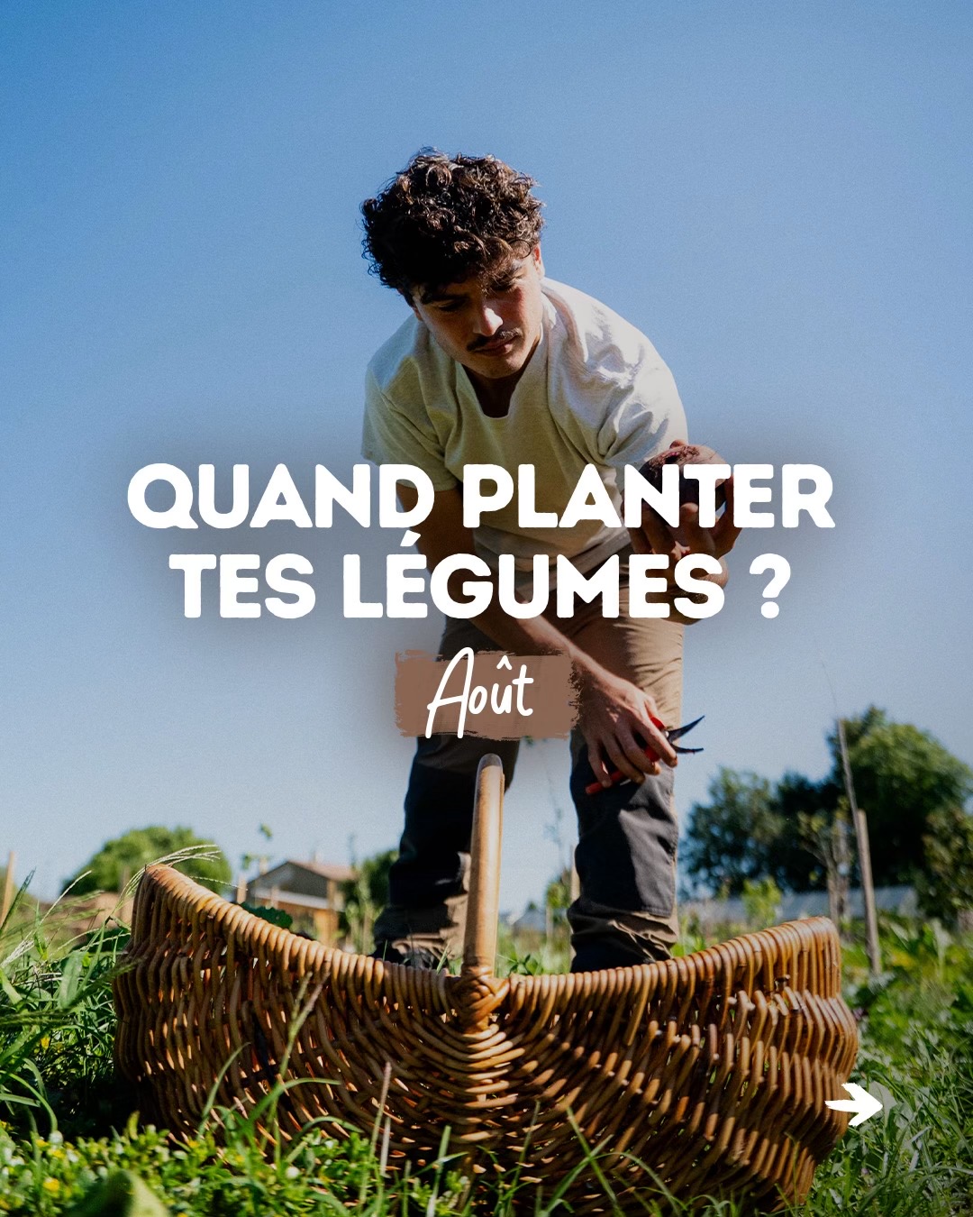 @Goran Le Permaculteur