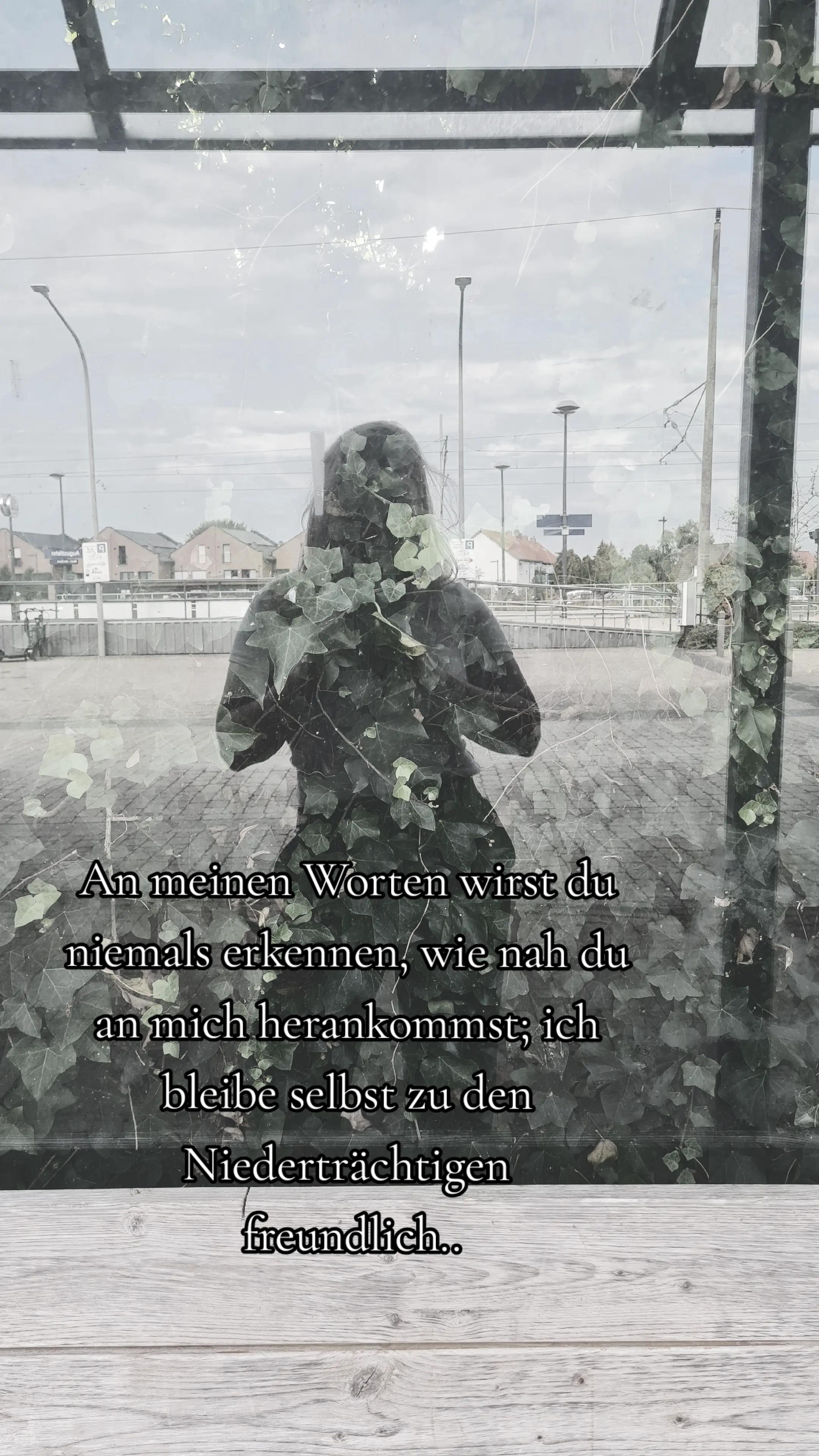 @Sandra.Wie.