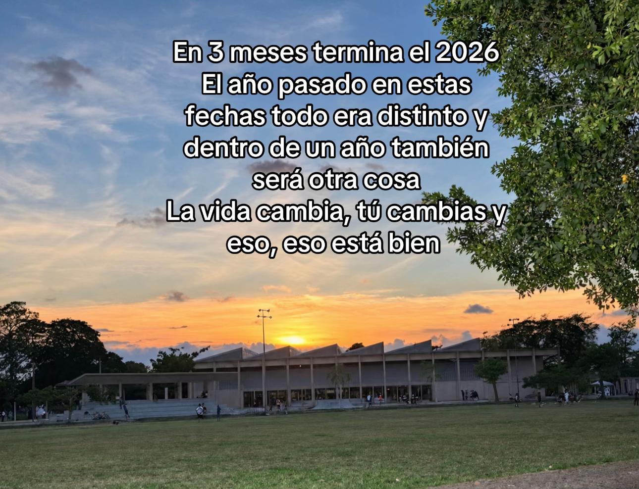 @Ross Dominguez