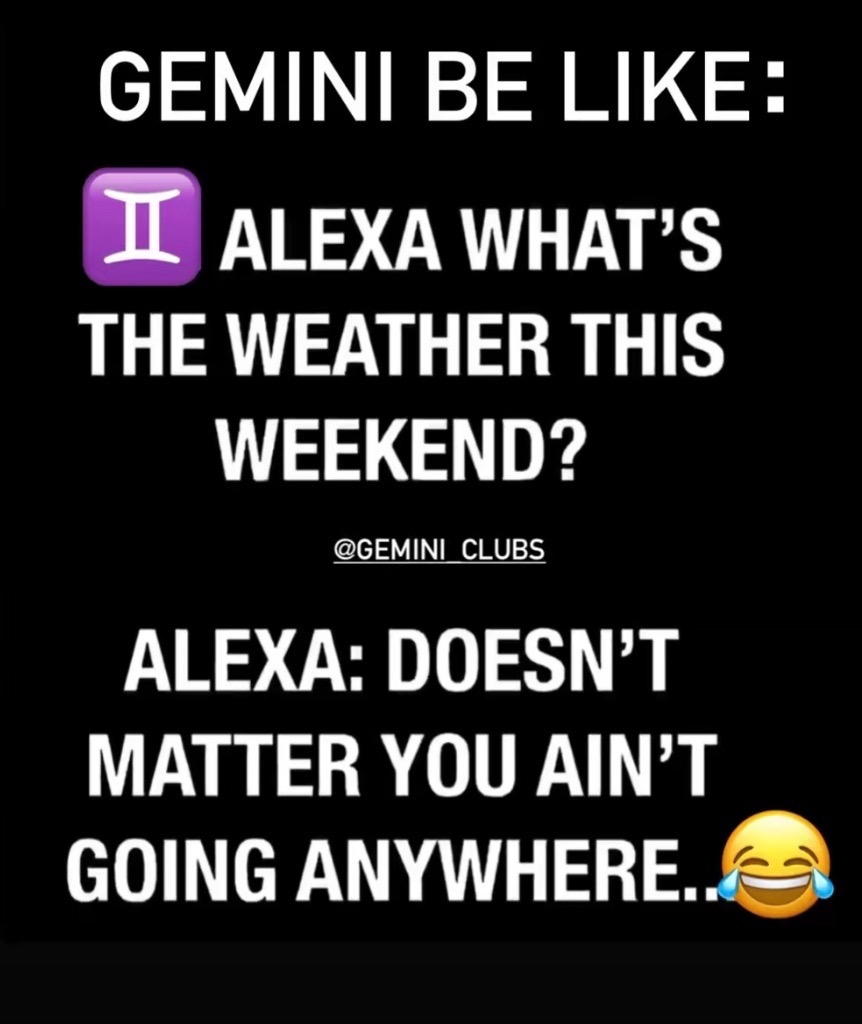 @Gemini Club♊️