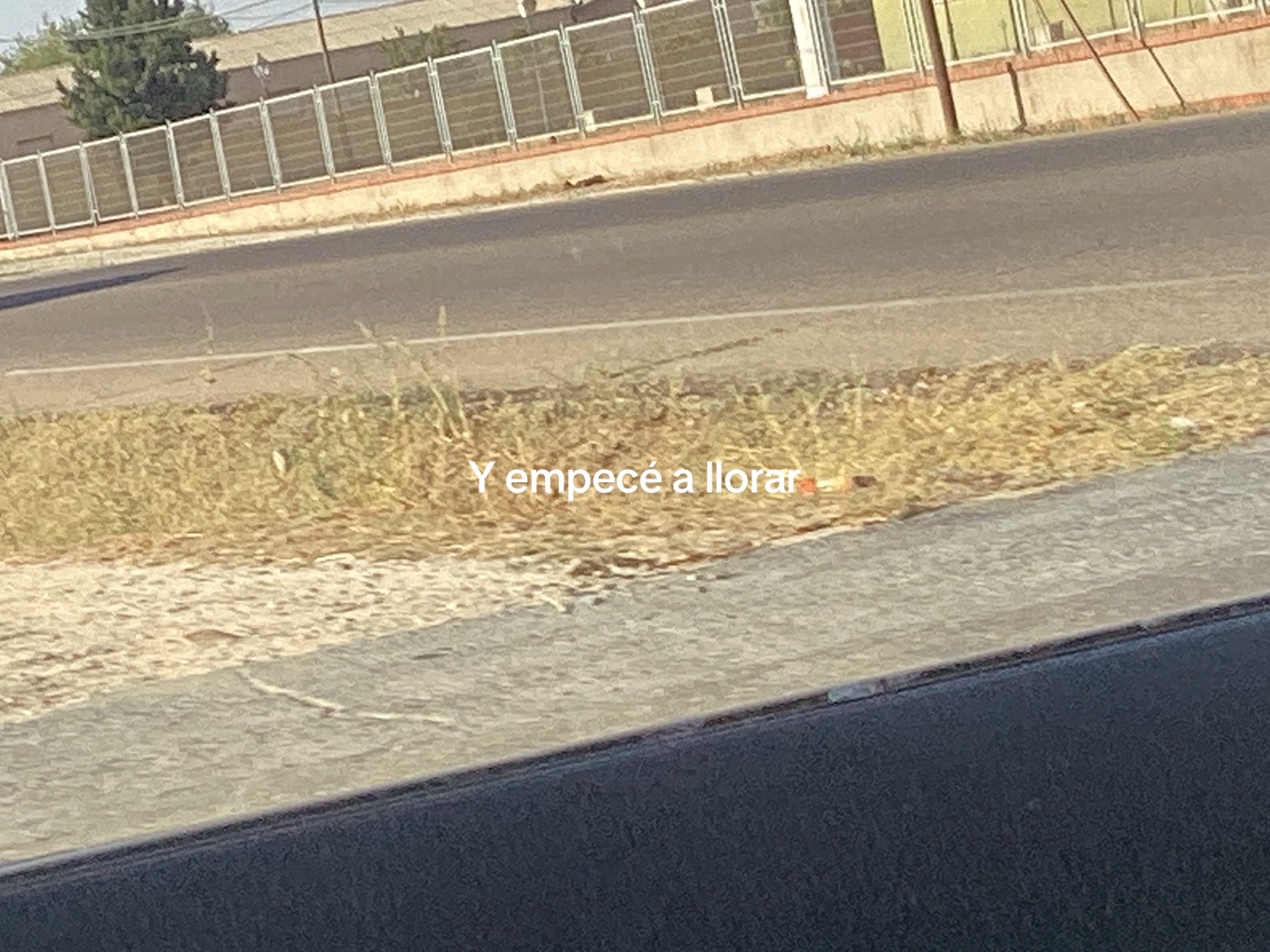 @🐰