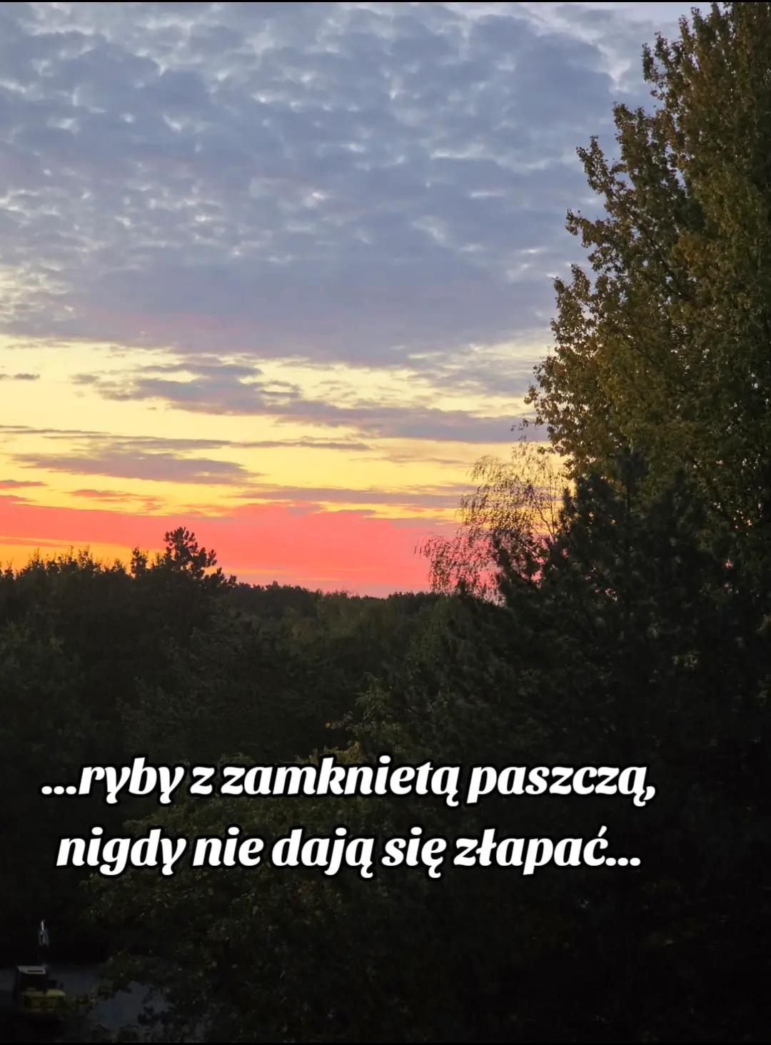 @Madzia Madziula