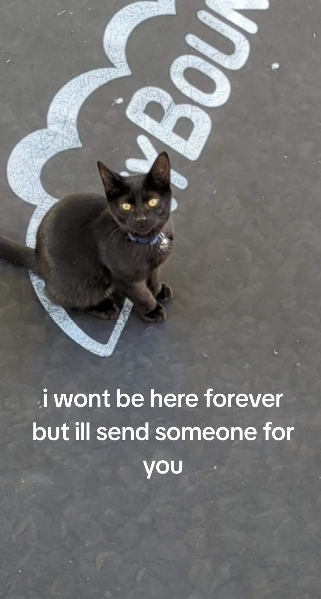 @AR20N