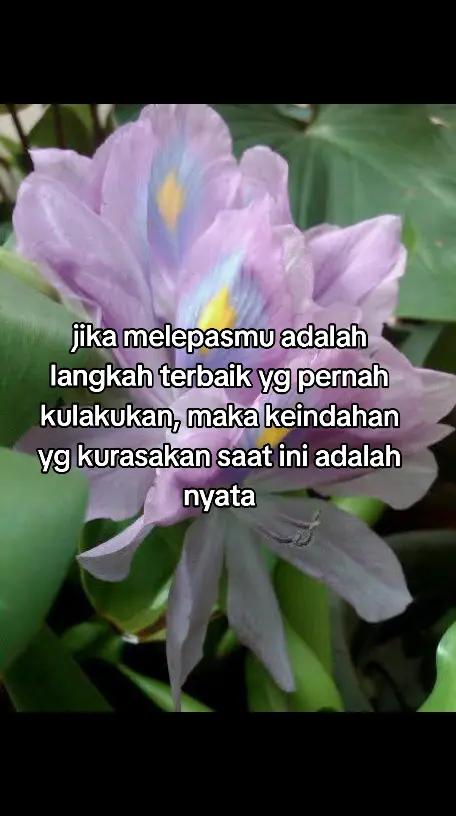 @LeannyLee🌻