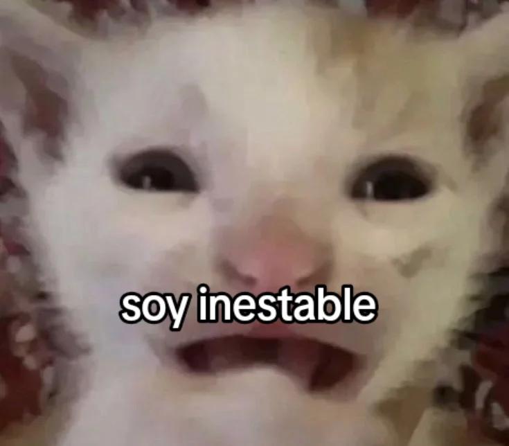 @StackerBolivia