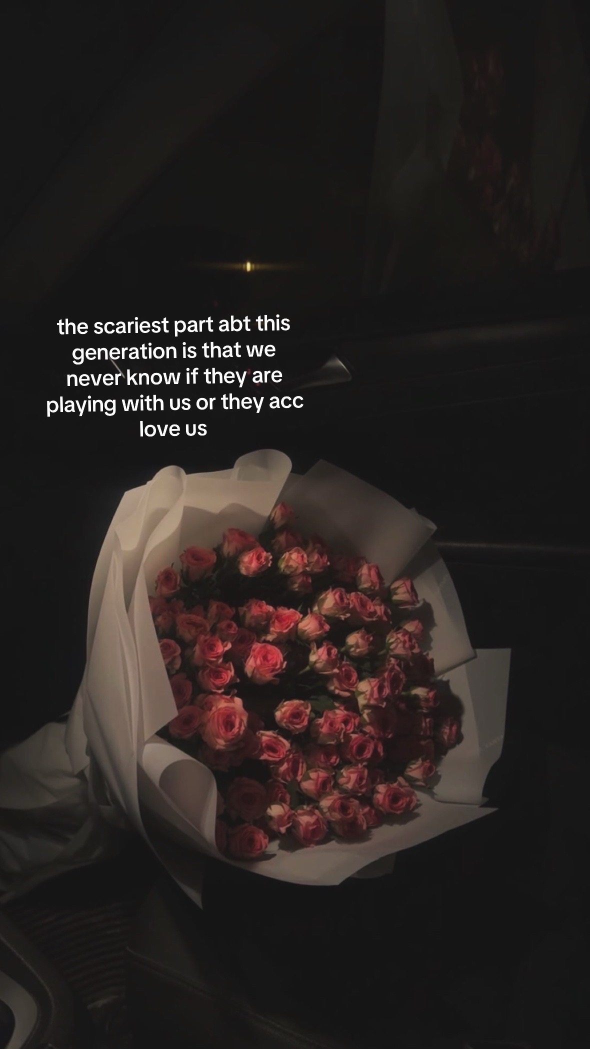 @ayesha 🤍