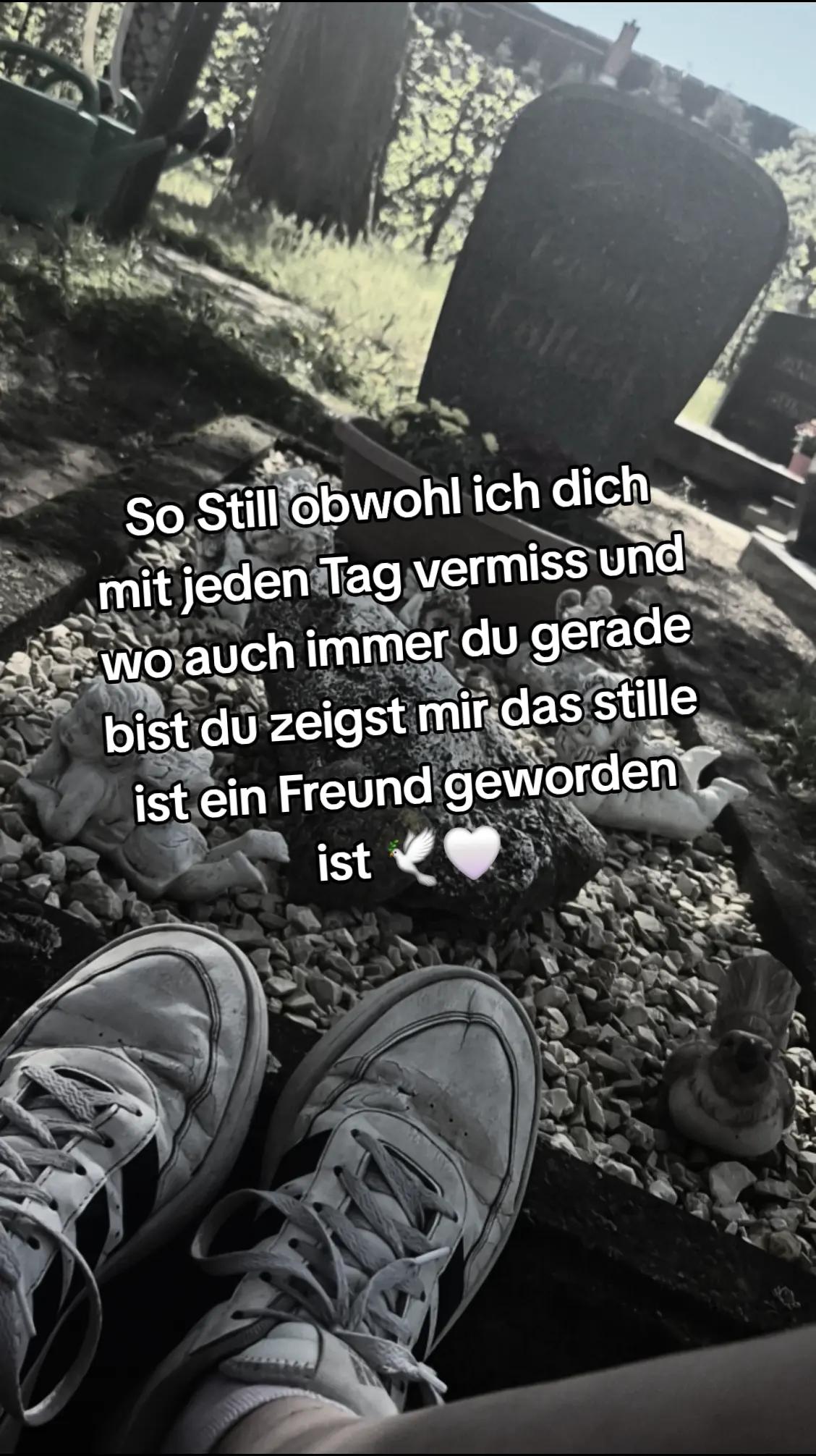 @Prinzessin_des_Chaos🥀✨️