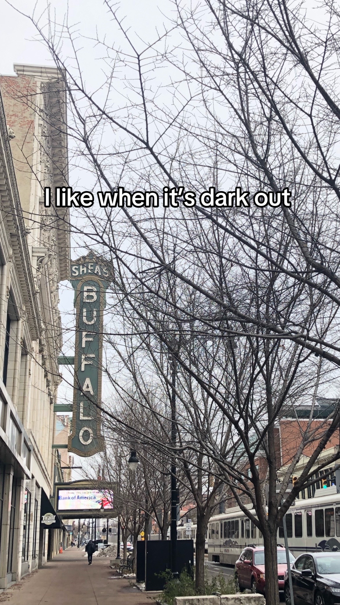@Birds&ensp;&&ensp;Books