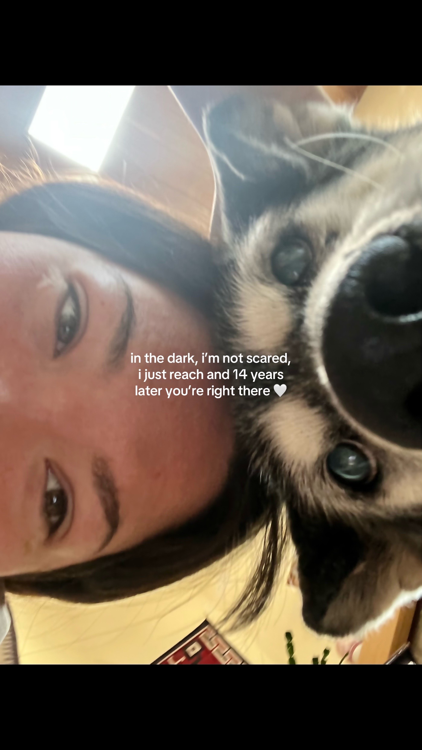 @marjorie ౨ৎ
