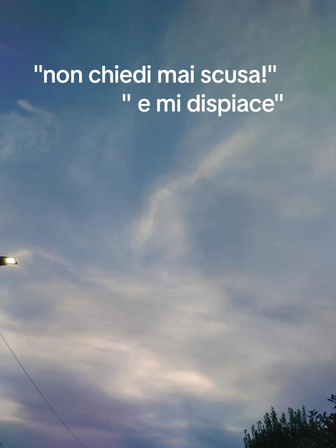 @Noetta🪸🐚