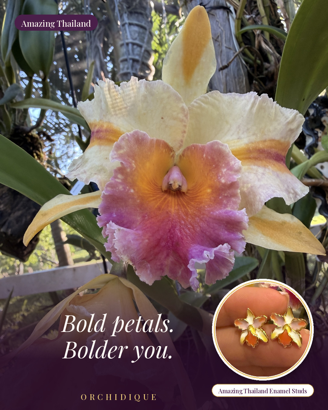 @Orchidique