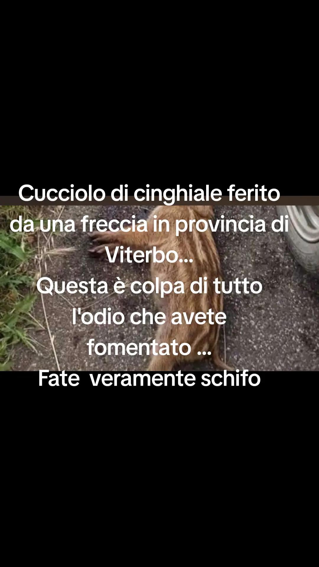 @Eleonora