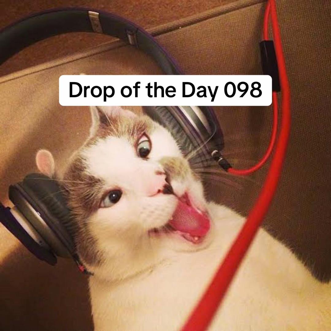 @Bass Hive