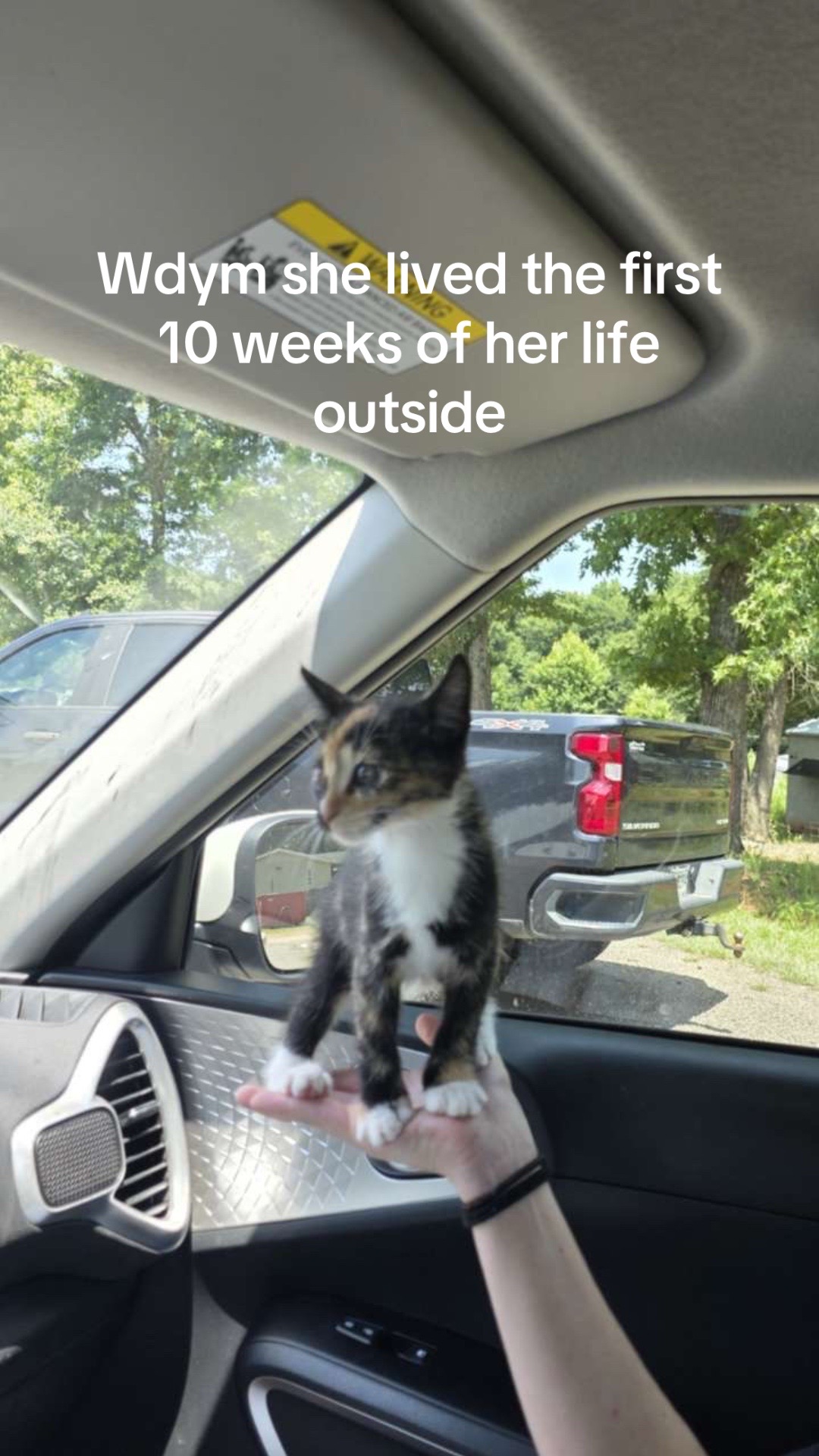 @😻