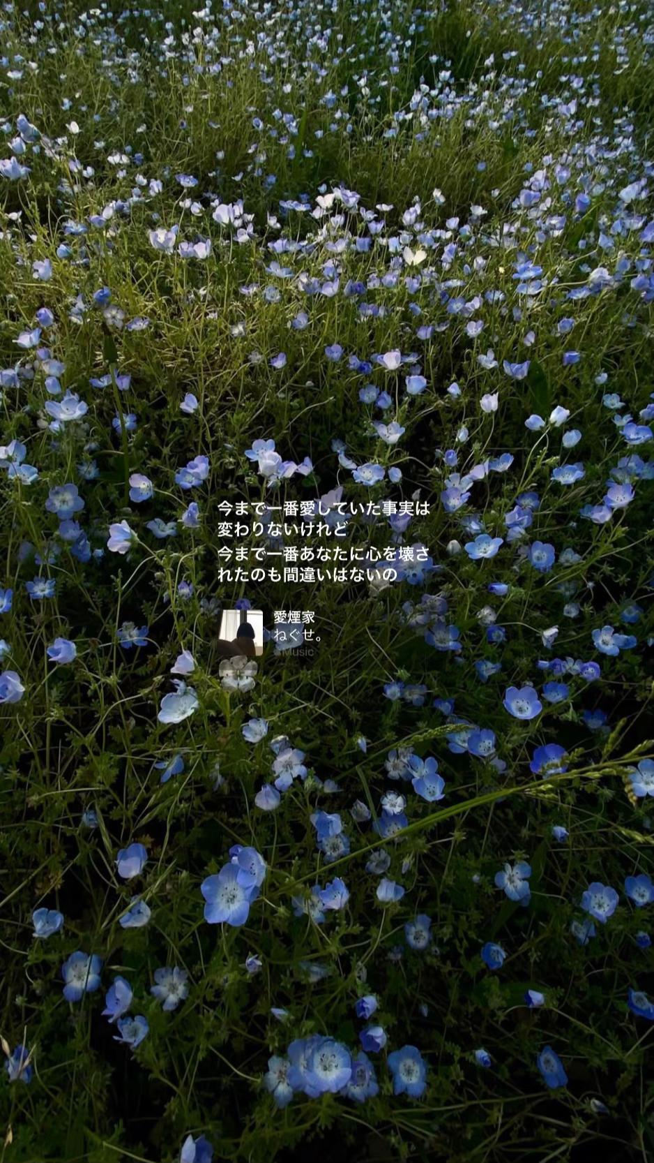 @ひ。