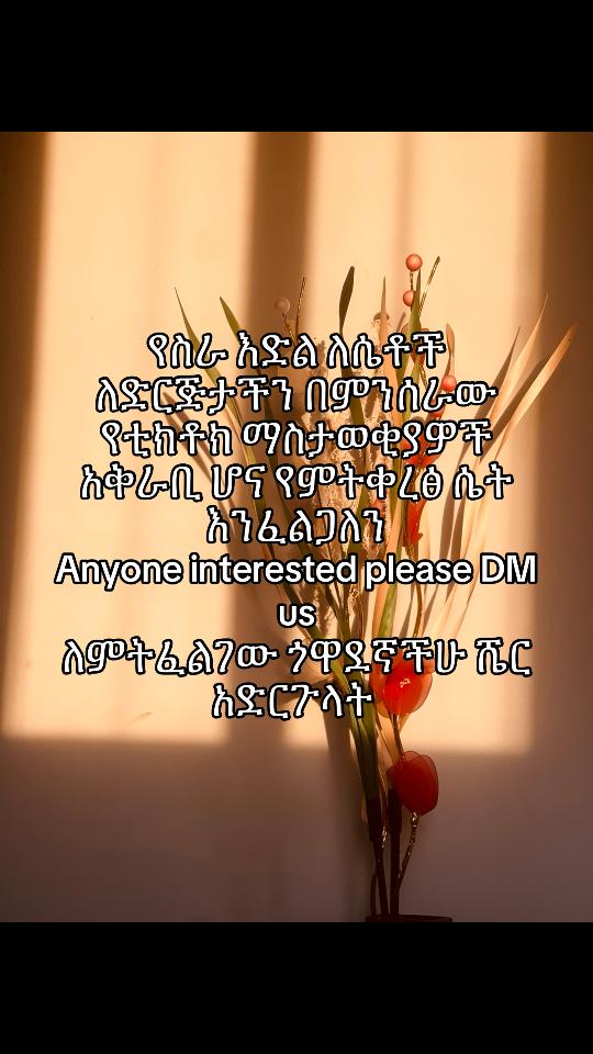 @user28545174766