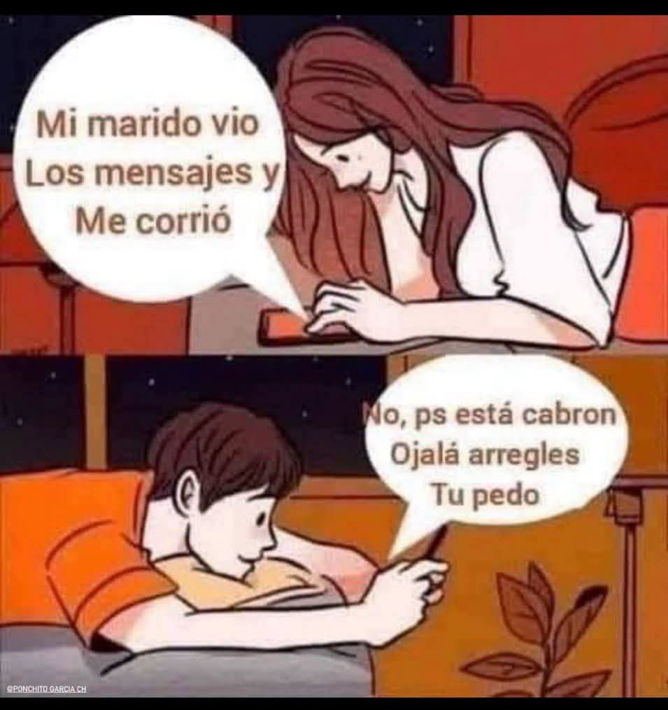 @el panda solitario