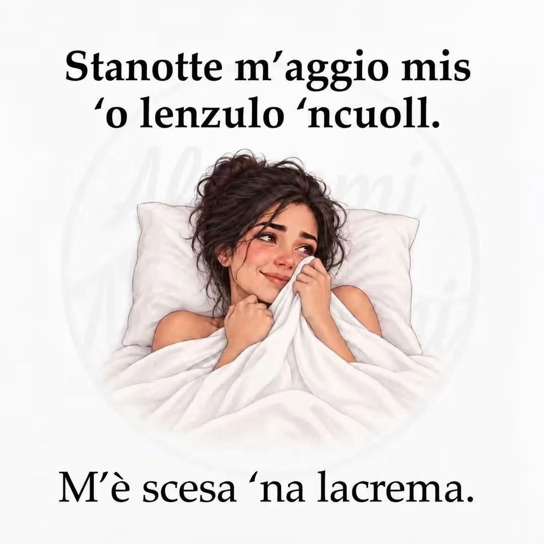 @🎀ROSA PARATO🎀