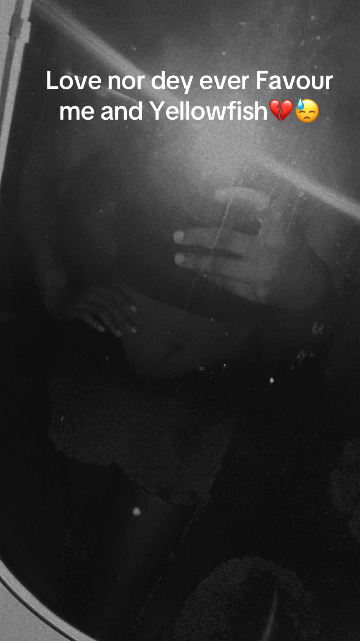 @osayamon🦋💙