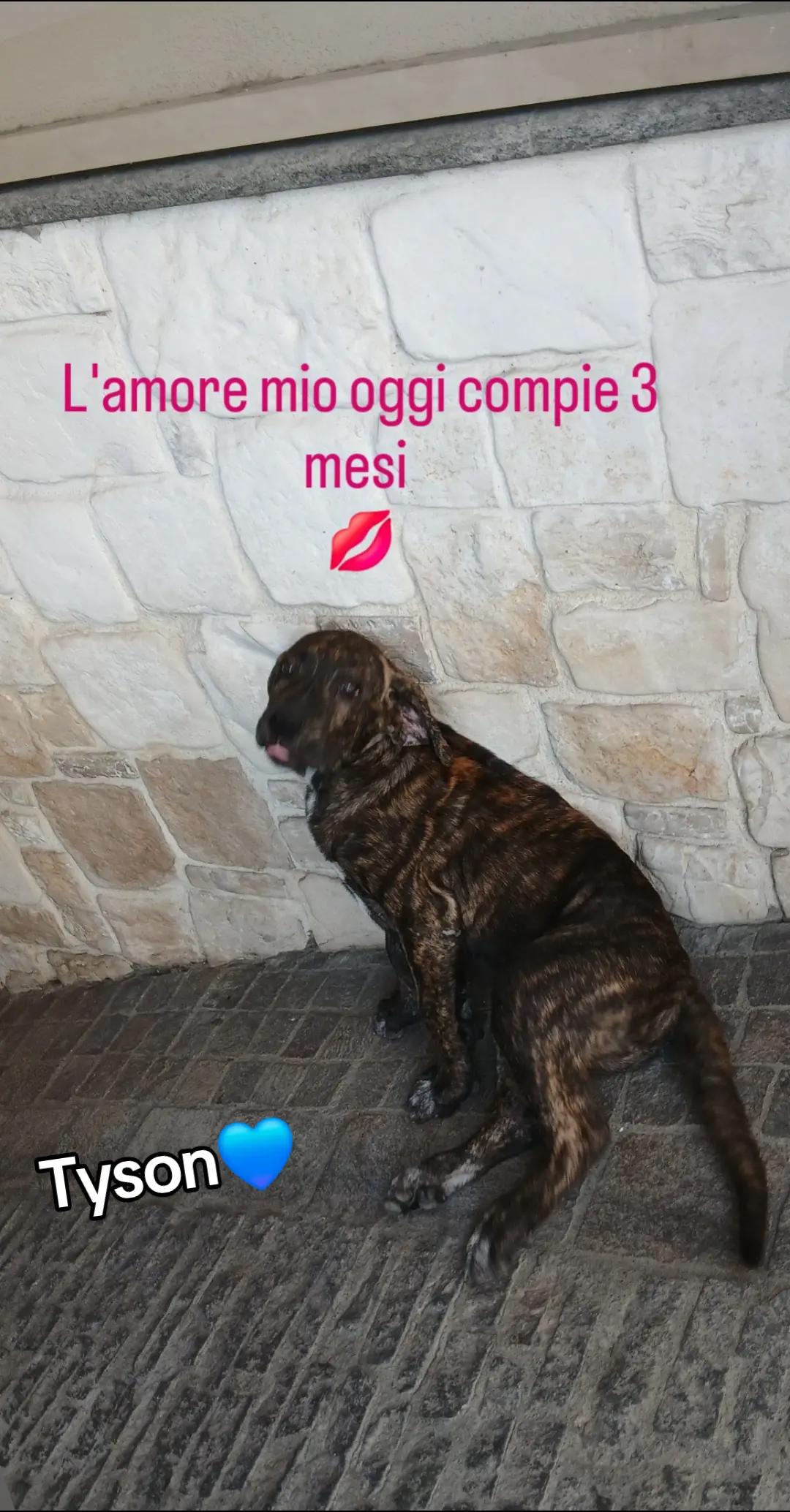@lapazzaribelle mary🖤😈😈😈😈
