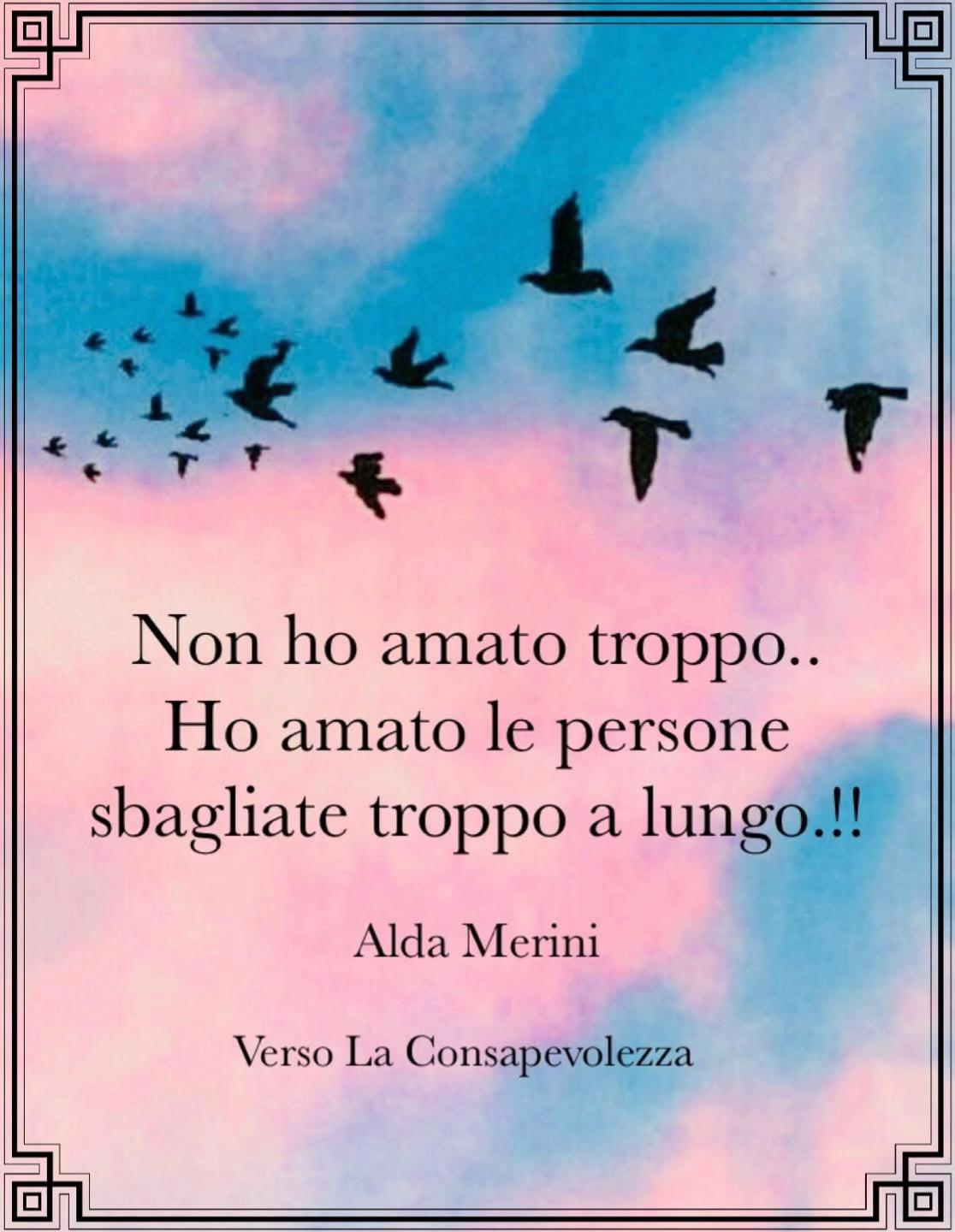 @vincenzopede8
