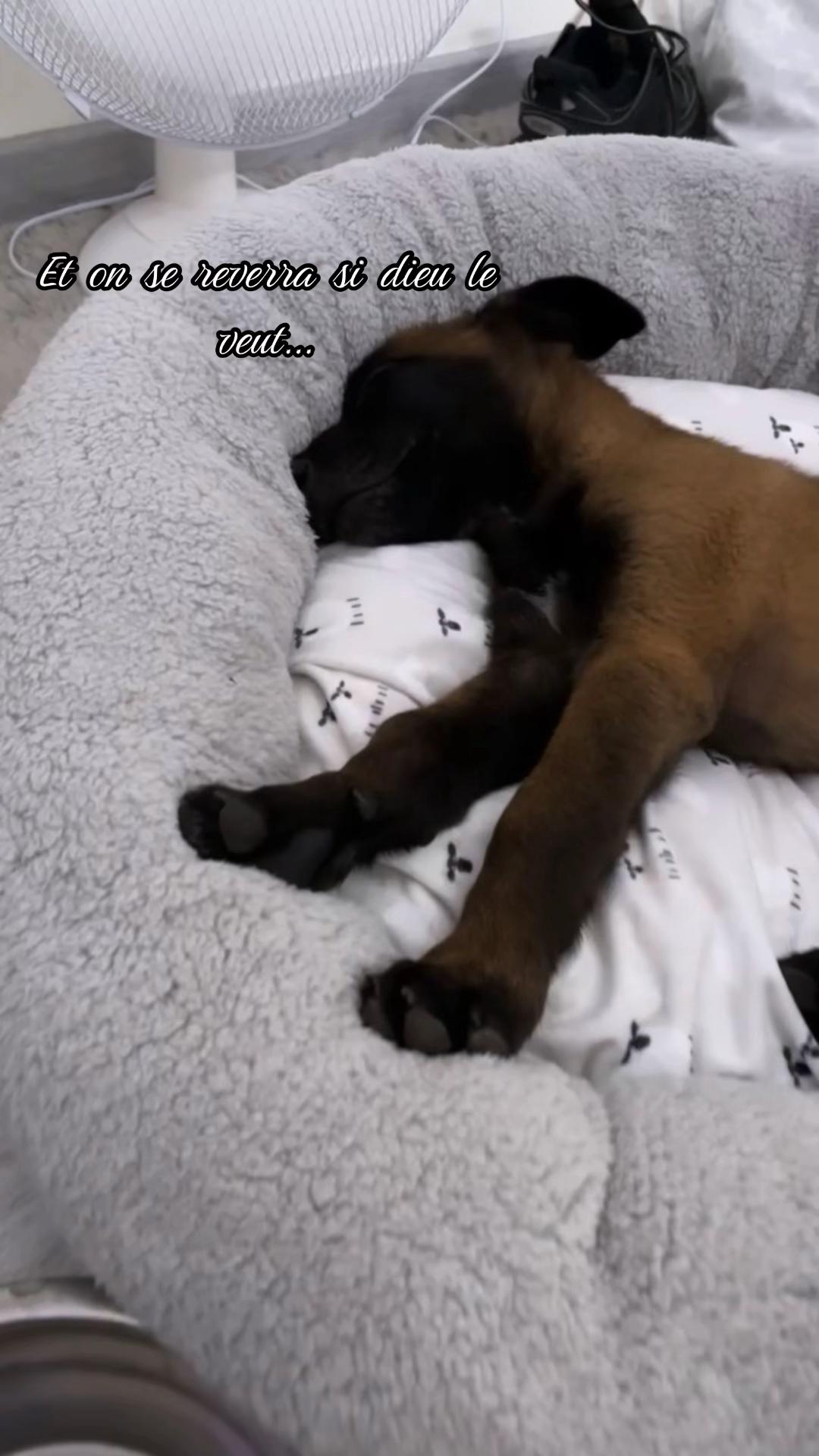 @𝐈𝐒𝐒