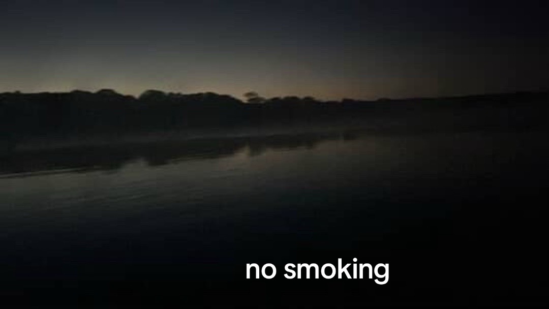 @🤍🤍🤍