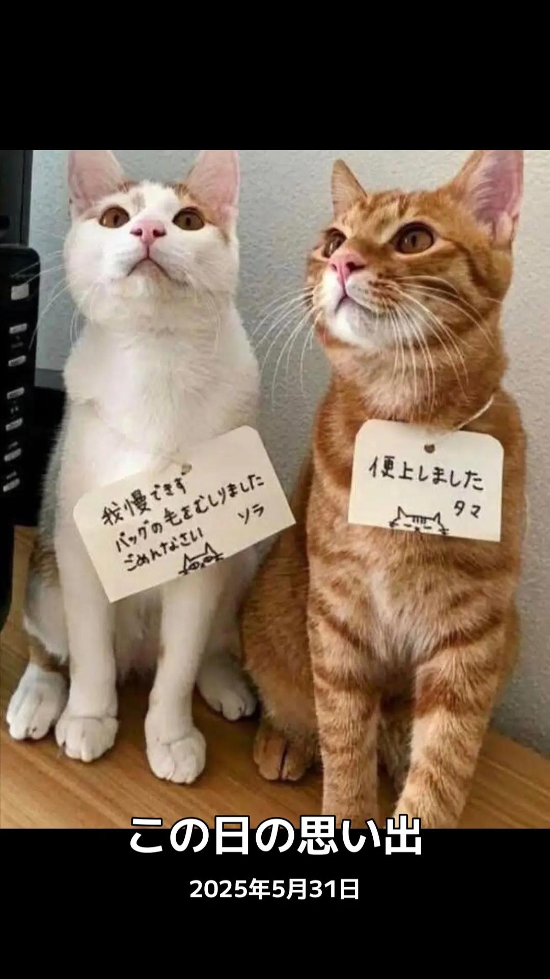 @ババア