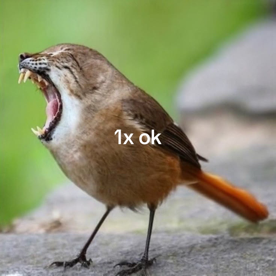 @UA_hehehehea