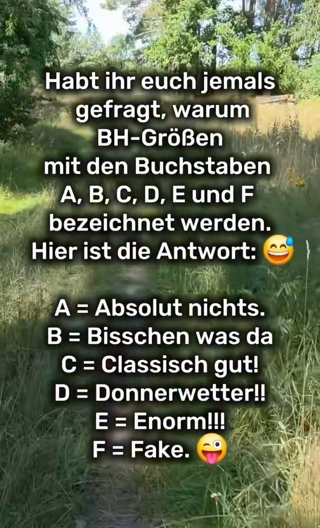 @Heizie E- lektrisiert