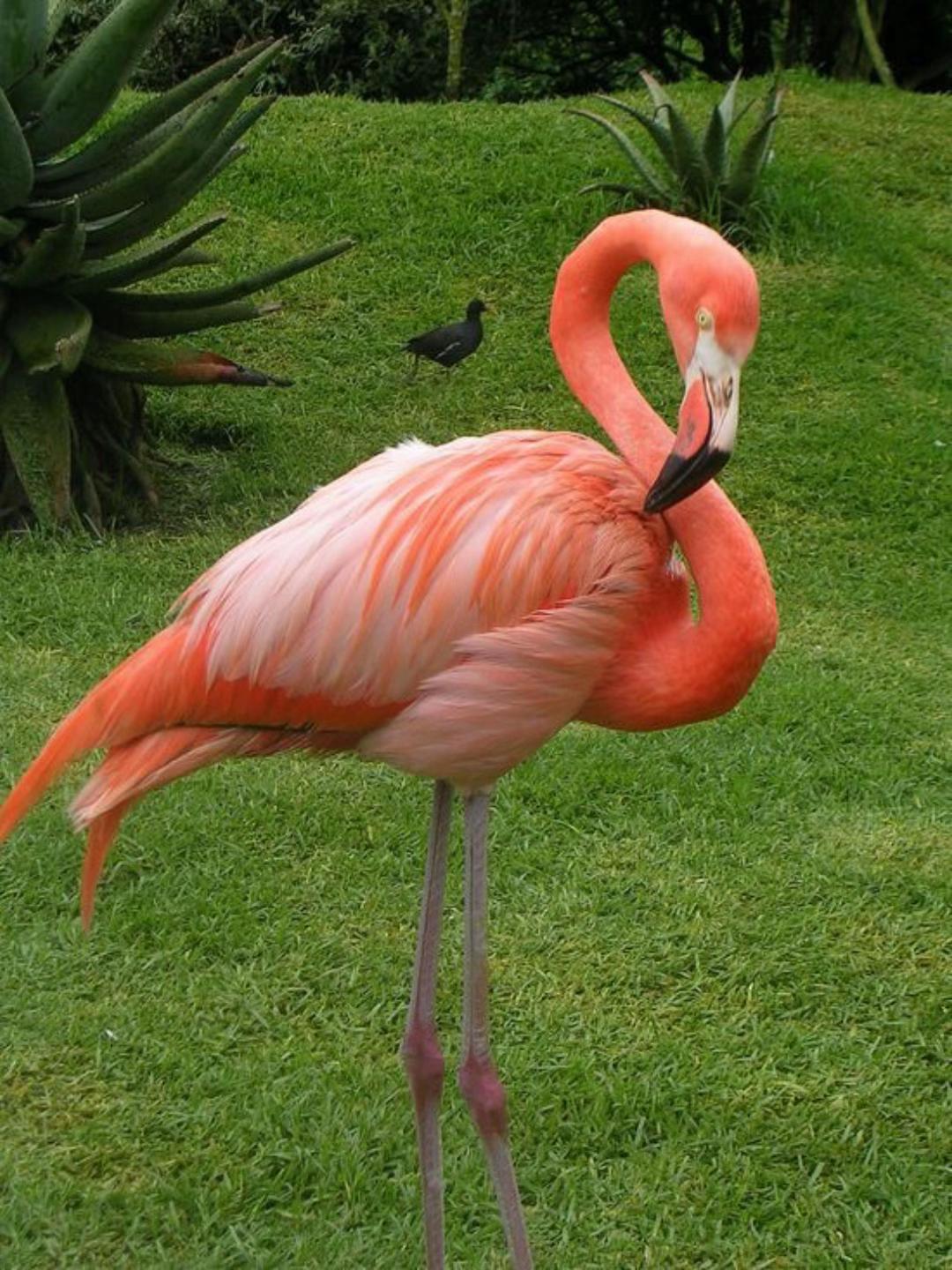 @𝓛𝓾𝓬𝓪_388