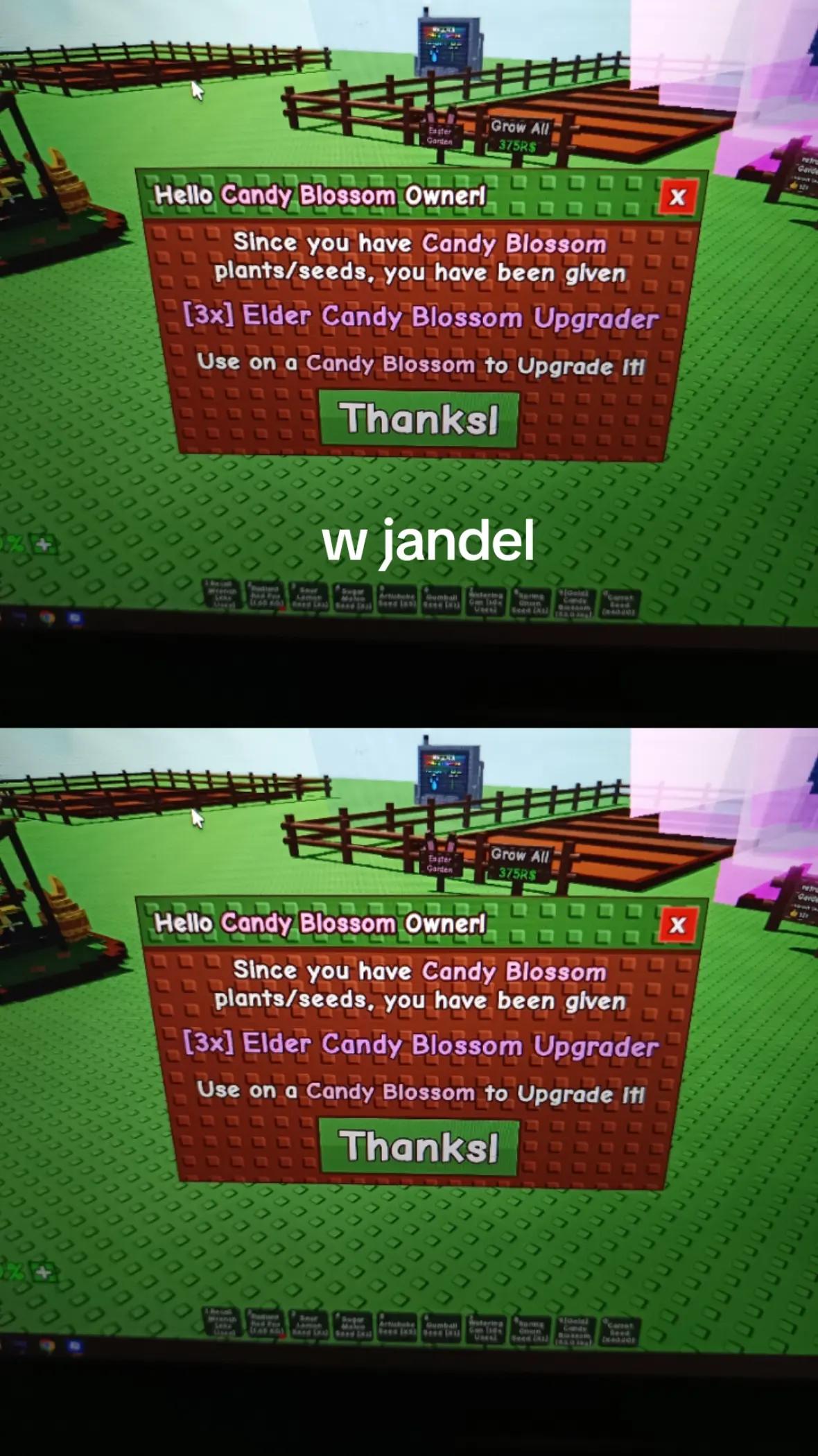 @Mimi