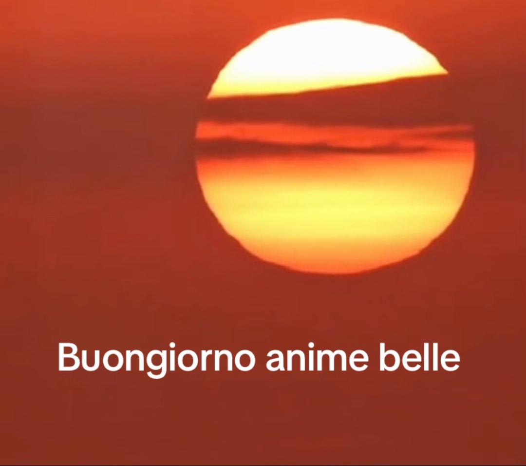 @rosariorizzolo578