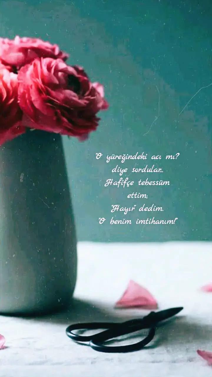 @Yorgun_01