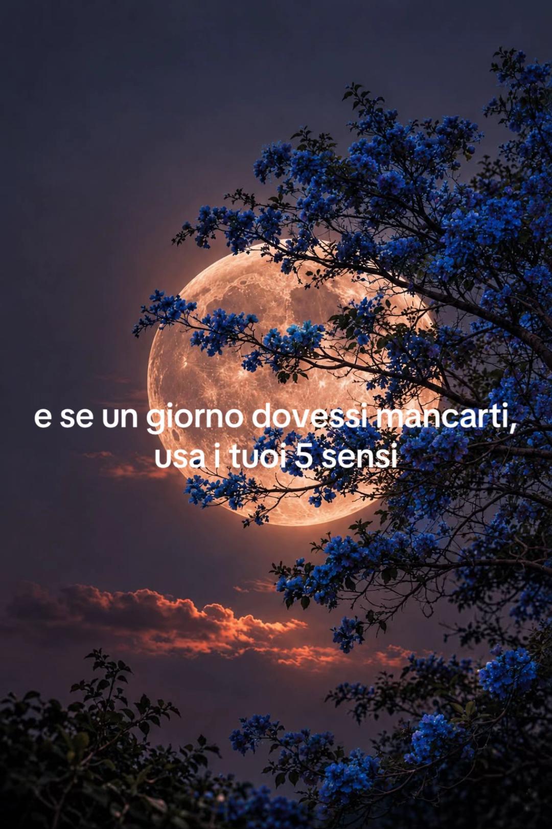 @Ginevra🌕