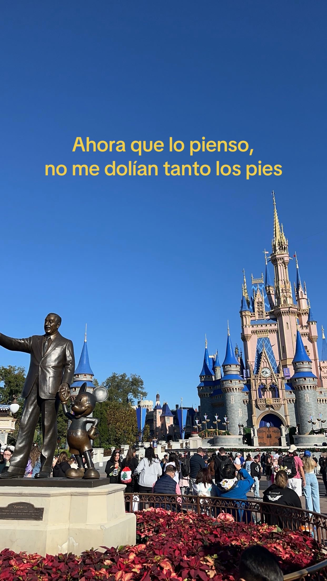 @maxima