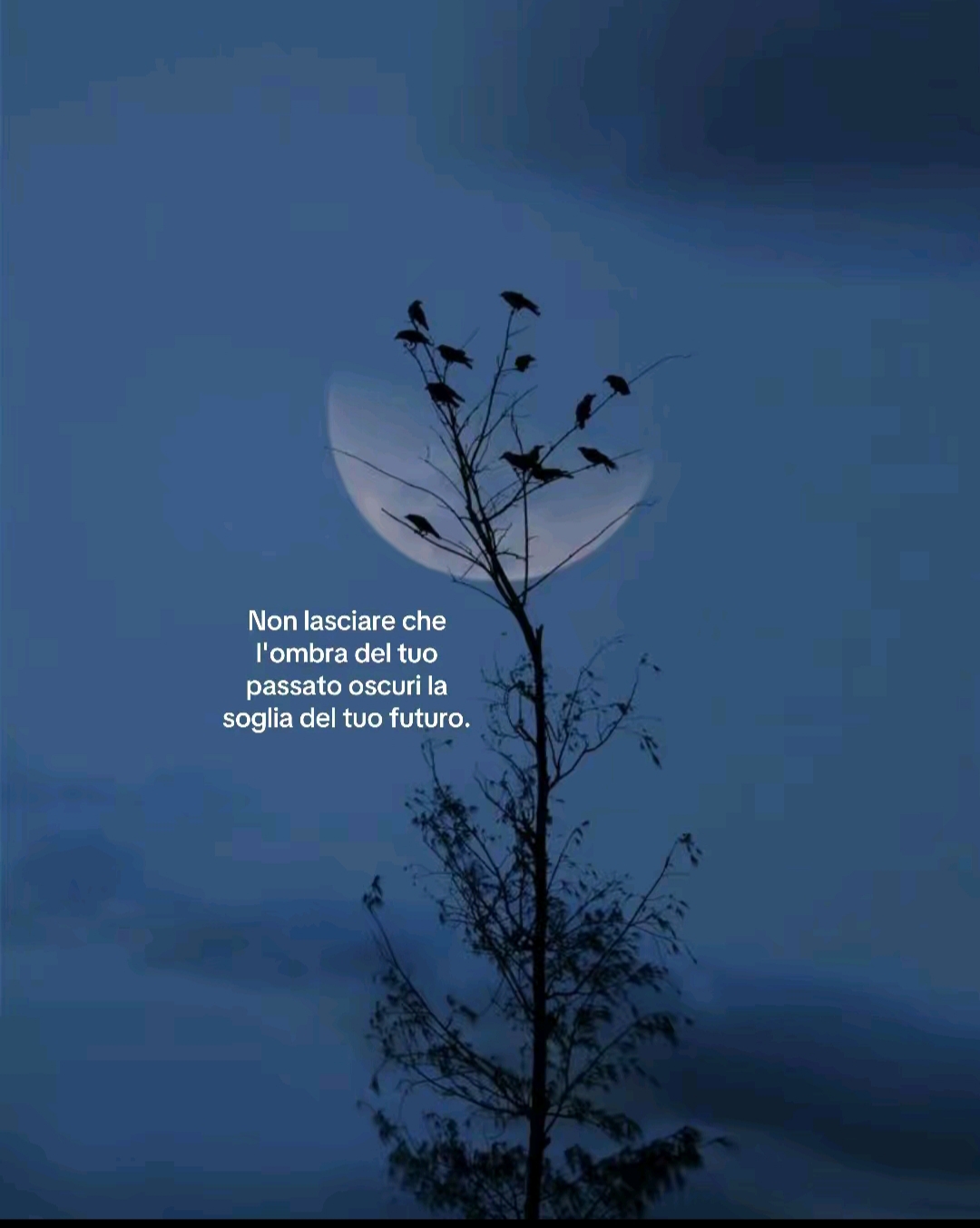 @Ammor & Verit&agrave;