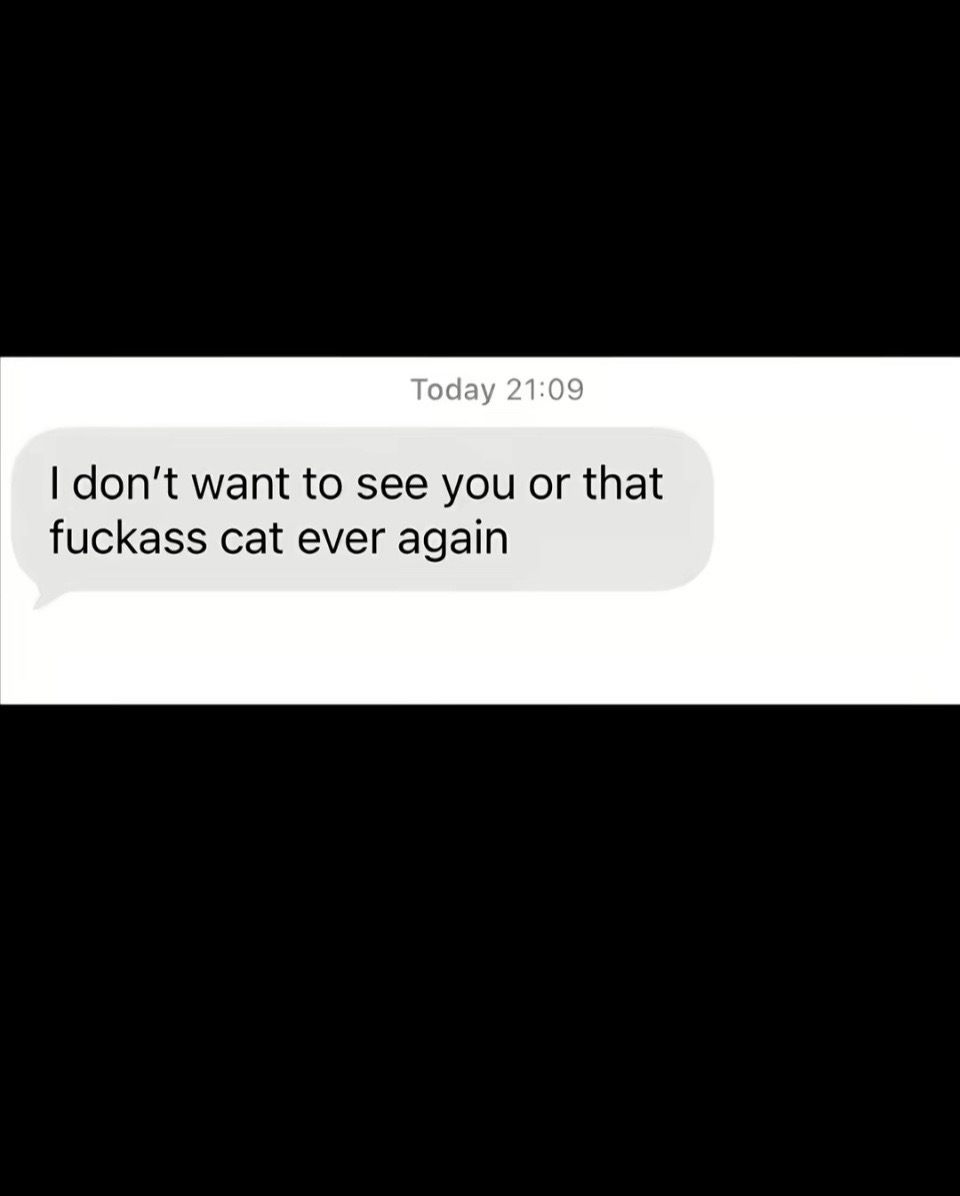 @campanitaah