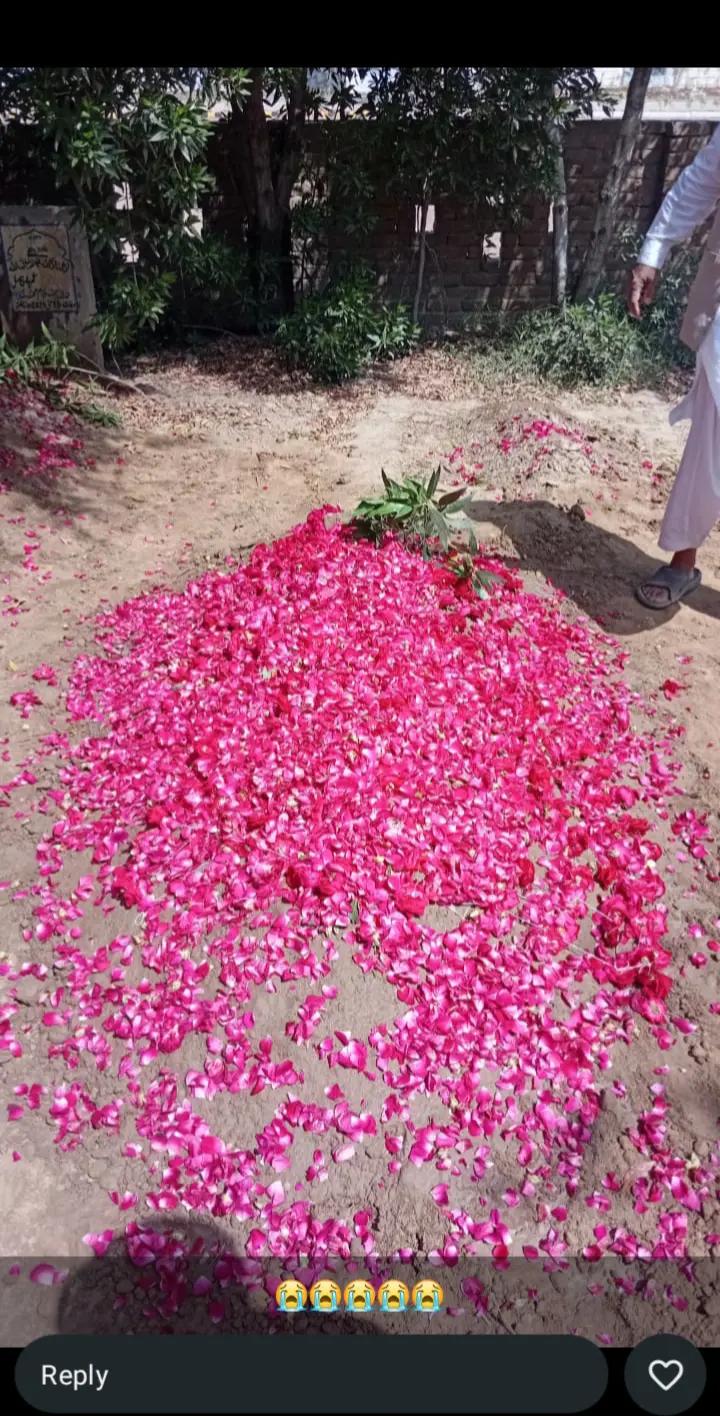 @Farhan Sialvi