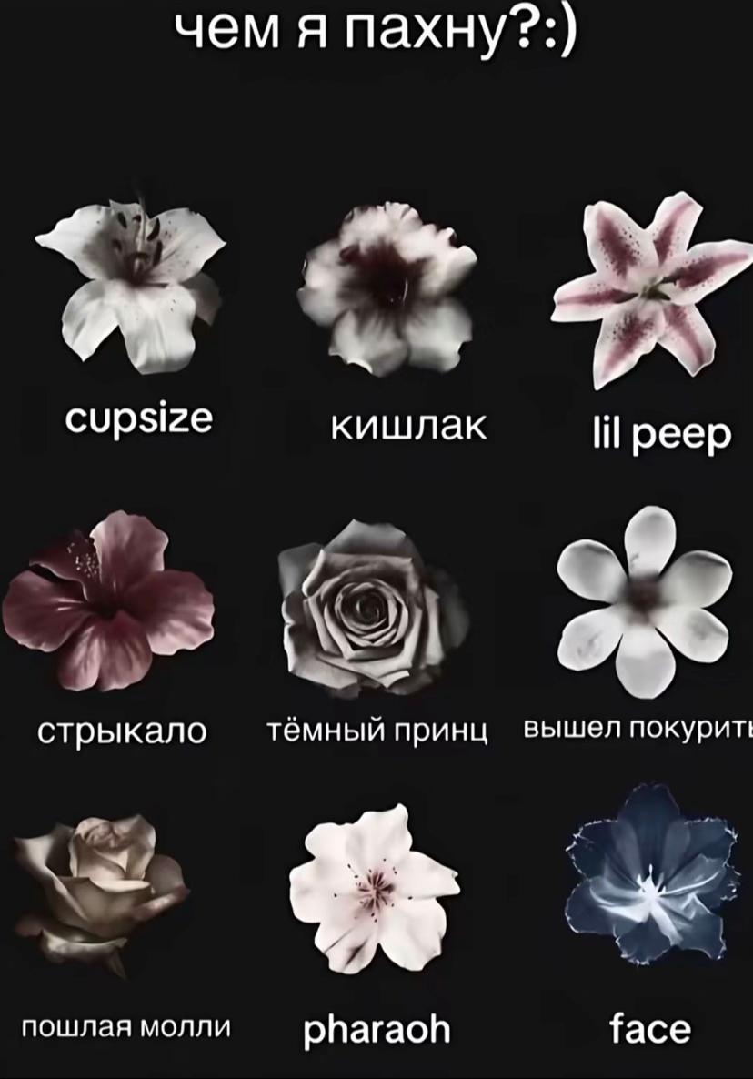 @щп