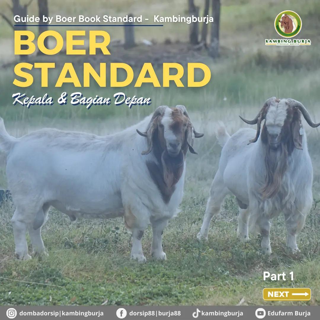 @Kambing Burja Official
