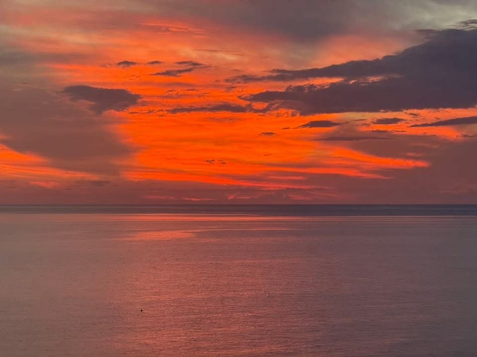 @roro79