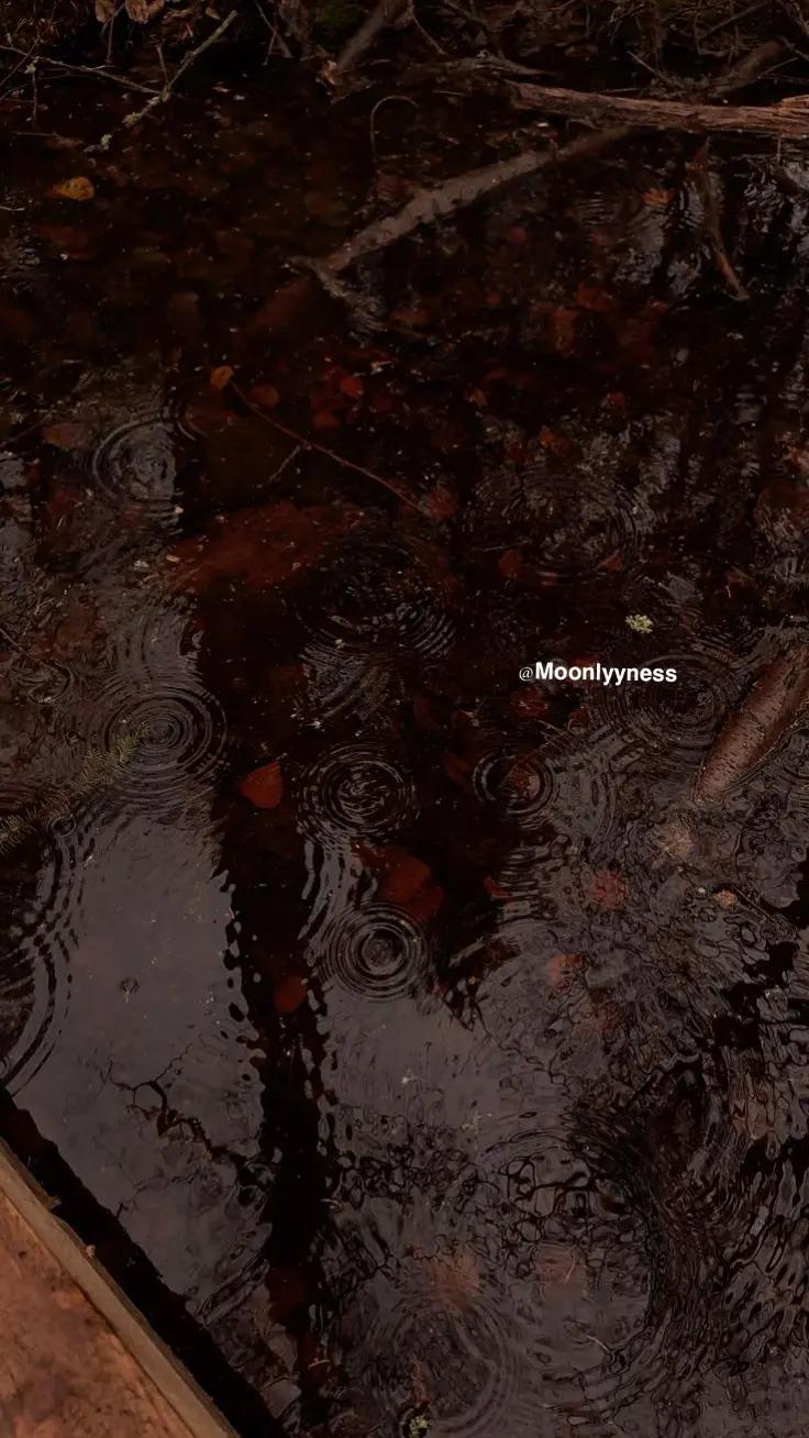@𝗠𝗼𝗼𝗻𝗹𝘆𝘆𝗻𝗲𝘀𝘀
